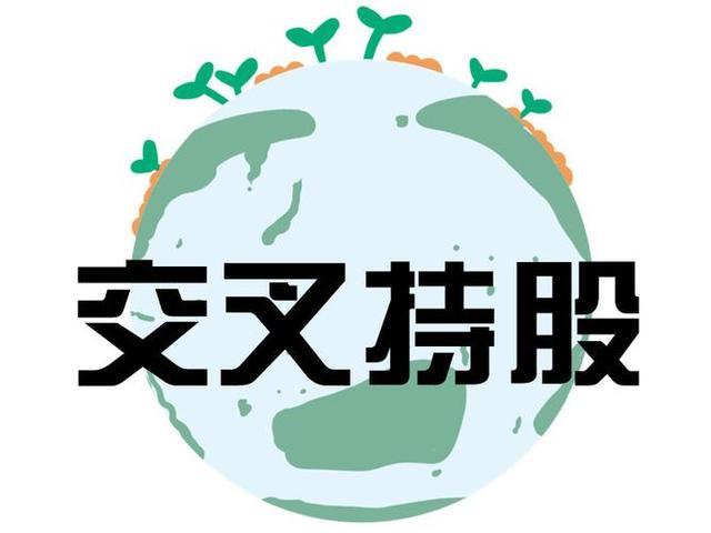 交叉持股安排设计(交叉持股怎么计算持股比例)张掖市